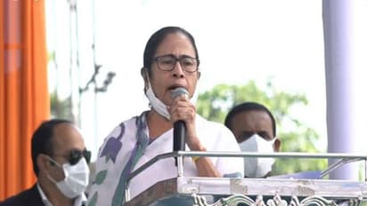 Mamata Banerjee assures support to protesting farmers in Delhi