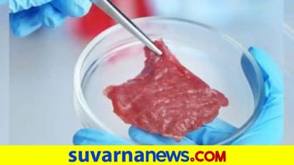 ಲ್ಯಾಬ್‌ನಲ್ಲಿ ಸೃಷ್ಟಿಸಿದ ಮಾಂಸ ನಾಡಿದ್ದಿಂದ ತಿನ್ನಲು ಲಭ್ಯ!