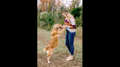 ಪ್ರೀತಿಯ ಸಾಕು ನಾಯಿಯ ಪ್ರೆಗ್ನೆನ್ಸಿ ಫೋಟೋ ಶೂಟ್!