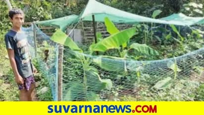 ಬರಡು ಭೂಮಿಯ ಹಸಿರಾಗಿಸಿದ್ದ ಅಜ್ಜನ ತೋಟ ಉಳಿಸಿದ ಮೊಮ್ಮಗ