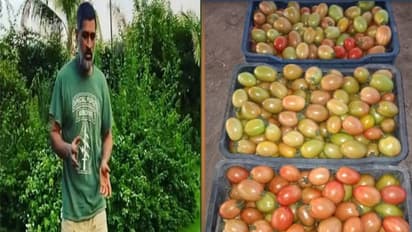 ದುಬೈಗೆ ಹಾರಲು ರೆಡಿಯಾದ ಧೋನಿ ಬೆಳೆದ ತರಕಾರಿಗಳು..!