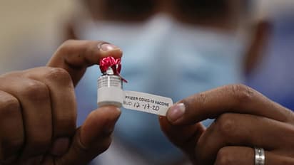 Covid-19 vaccine to SpaceX: Top migrant moments of the year 2020