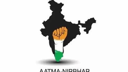 Atmanirbhar Bharat: Need to step up investment in R&D sector, says Prof Raghavan