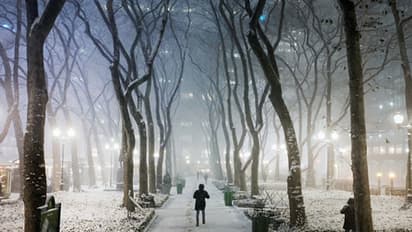 ಚಳಿಗಾಲದಲ್ಲಿ ಮೊಸರು ಹೀಗ್ ಮಾಡಿದ್ರೆ ಸೂಪರ್ ಆಗಿರುತ್ತೆ!