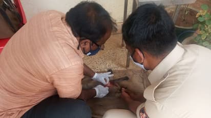 ಅಪಘಾತದಲ್ಲಿ ಗಾಯಗೊಂಡು ಮಂಗನ ನರಳಾಟ: ಕೋತಿಗೆ ಚಿಕಿತ್ಸೆ ಕೊಡಿಸಿ ಮಾನವೀಯತೆ ಮೆರೆದ ಪೊಲೀಸ್‌