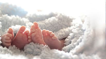 দিদিমার গর্ভে বেড়ে উঠল নাতনি, যমজ দুই বোনের জন্ম হল ৮ সপ্তাহের ব্যবধানে দুই মায়ের থেকে