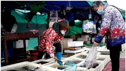 ചൈനയിലെ വുഹാനിൽ നിന്നാണോ കൊറോണ വൈറസ് ഉത്ഭവിച്ചത്; അന്വേഷണവുമായി ഡബ്ല്യുഎച്ച്ഒ വിദഗ്ധ സംഘം ചൈനയിലേക്ക്