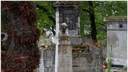 പ്രാണികളെ സ്നേഹിച്ച എൻ‌ടോമോളജിസ്റ്റ്, വധശിക്ഷയില്‍ നിന്നും അദ്ദേഹത്തെ രക്ഷിച്ചതും ഒരു വണ്ടായിരുന്നു!