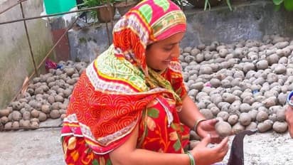 ഷമീമയും മാലതിയും; ഉരുളക്കിഴങ്ങ് കൃഷിയിലൂടെ ജീവിതം തന്നെ മാറിയ രണ്ട് സ്ത്രീകൾ!