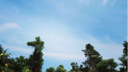 22 கிலோ எடையை குறைத்து அடையாளம் தெரியாத அளவிற்கு மாறிய மோகன் லால் மகள் விஸ்மயா..!