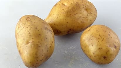 आज के बाद आप भी नहीं फेंकेंगे आलू के छिलके, इस तरह बना सकते हैं सब्जी से भी ज्यादा टेस्टी डिशेज