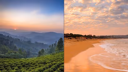 Goa to Ooty: Here are 5 destination ideas where you can plan your New Years Eve