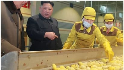 ഉത്തരകൊറിയൻ മാധ്യമങ്ങളിൽ ഇപ്പോൾ താരം ഉരുളക്കിഴങ്ങ്, ദാരിദ്ര്യമെന്നതിന്റെ സൂചനയോ?