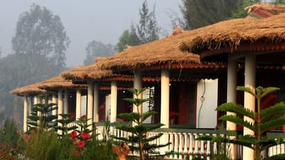 বাওয়ালি রাজবাড়ি-সুন্দরবন রিসর্ট, বড়দিন বা নিউ ইয়ার, জানুন ওয়ান ডে আউটিং-এ খরচ কত