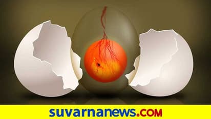 ಸಸ್ಯಾಧರಿತ ಮೊಟ್ಟೆ ಸಂಶೋಧಿಸಿದ ಐಐಟಿ ದೆಹಲಿ ಪ್ರೊಫೆಸರ್ಗೆ ಜಾಗತಿಕ ಪ್ರಶಸ್ತಿ