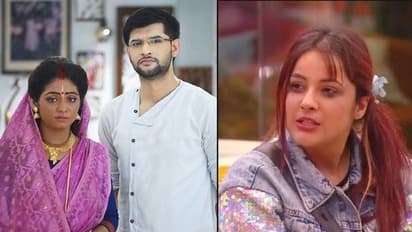 'তোয়াড্ডা কুত্তা টমি, সাড্ডা কুত্তা কুত্তা', জনপ্রিয় সংলাপ এবার 'কৃষ্ণকলি' শ্যামার মুখেই