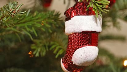 Christmas 2021: বাড়ির ভোল বদলান রকমারী ফুল দিয়ে, বড়দিনে ঘর সাজান এই কয়টি ফুলে