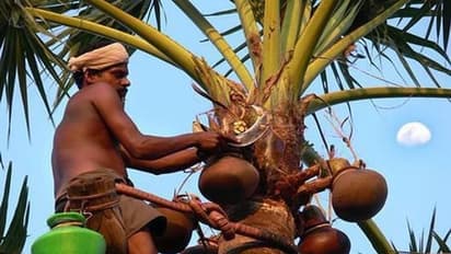 ఏం చెప్తిరి.. చెప్తిరి: కల్లు తాగితే కరోనా రాదంట