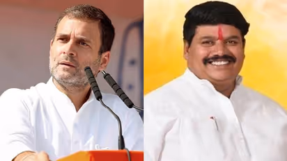 ലോക്ഡൗണിൽ സ്വന്തം മണ്ഡലത്തിൽ സഹായം എത്തിച്ച എംപിമാരിൽ ഒന്നാമത് ബിജെപി എംപി, രാഹുൽ ഗാന്ധി മൂന്നാമത്