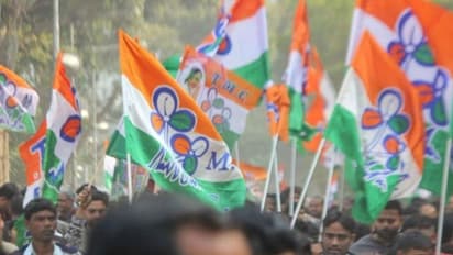 TMC to launch new campaign to highlight party’s success