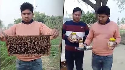 Quitting their jobs, 3 brothers take up pearl farming and beekeeping; enjoy good profits