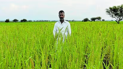 How organic farming has helped a Karnataka farmer reap a rich harvest