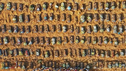 कहीं लगा लाशों का ढेर, तो आग ने 50 करोड़ बेजुबानों को लीला....2020 की 10 तस्वीरें, जिन्हें नहीं भूल पाएंगे हम