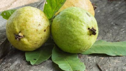 പ്രമേഹ രോഗികള്‍ക്ക് പേരയ്ക്ക കഴിക്കാമോ?