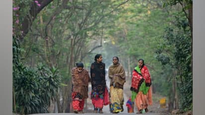 Weather Report-সপ্তাহের শেষেই বৃষ্টির সম্ভাবনা,তারপরই কি জাঁকিয়ে শীত,জানাল হাওয়া অফিস