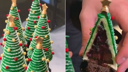 ആഹാ, നല്ല ടേസ്റ്റുള്ള ക്രിസ്മസ് ട്രീ; കാണാം വീഡിയോ...
