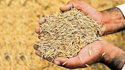 కారణమిదీ:జనగామ మార్కెట్ యాద్ద వద్ద రైతు ఆత్మహత్యాయత్నం