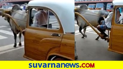 ಧರ್ಮಸ್ಥಳ ಎತ್ತಿನ ಗಾಡಿ ಕಾರು ವೈರಲ್, ವಿಶ್ವ ವಿಖ್ಯಾತ ಕಂಪನಿಗಳಿಗೆ ಚಾಲೆಂಜ್