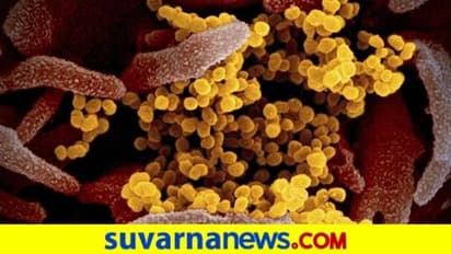 ಸೋಂಕಿತರ ಪೈಕಿ ಶೇ.75ರಷ್ಟು ಮಂದಿಯಲ್ಲಿ ಕಾಣಿಸಿಕೊಂಡ ಡೆಲ್ಟಾ ವೈರಸ್!