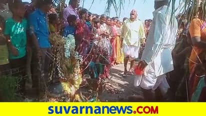 ಪುಂಡಿಗಿಡದಲ್ಲಿ ದೇವಿ ನೆಲೆಸಿದ್ದಾಳೆಂಬ ವದಂತಿ: ಮರ ನೋಡಲು ಮುಗಿಬಿದ್ದ ಜನ..!