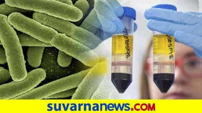 ಮಾಡೆರ್ನಾ ಲಸಿಕೆ ಪಡೆದ ಅಮೆರಿಕ ವೈದ್ಯನಿಗೆ ಗಂಭೀರ ಅಲರ್ಜಿ