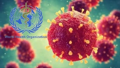 করোনা সংক্রান্ত সমস্ত তথ্যের হদিশ দেবে এই অ্যাপ,  WHO লঞ্চ করল Covid19 Update APP