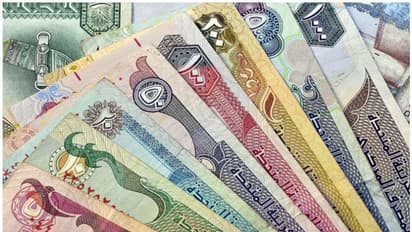 UAE: Govt employees to get 20 per cent salary hike in Fujairah