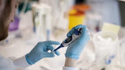 യുകെയില് നിന്നുള്ള പുതിയ കൊറോണ വൈറസ് ലോകത്തിന്റെ പലയിടങ്ങളില് വ്യാപിക്കുന്നു