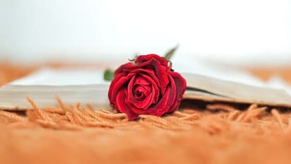 Dreams about flowers: மல்லிகை, சாமந்தி பூக்கள் உங்கள் கனவில் வந்தால் என்ன பலன் தெரியுமா..?