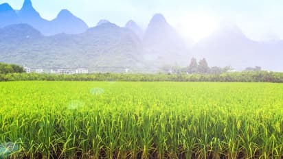 ವಿಶ್ವದ Happiest ದೇಶಗಳು ಯಾವುವು ನಿಮಗೆ ಗೊತ್ತಾ 