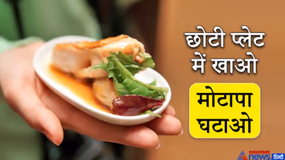 वजन बढ़ रहा है, तो बड़ी प्लेट में खाने से तौबा कीजिए, जानिए कुछ उपयोगी टिप्स