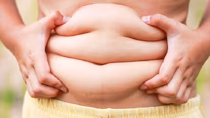 অবিশ্বাস্য, ফ্যাট খেলেই ঝরবে মেদ,তড়তড়িয়ে কমবে 'Belly Fat'