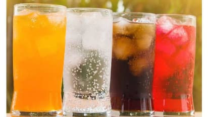 ಬಿಸಿಲ ಧಗೆ ತಡೆಯೋಕೆ ಆಗ್ತಿಲ್ವಾ? ಇಂಥಾ ಪಾನೀಯ ಕುಡಿಯೋದು ಬಿಟ್ಬಿಡಿ