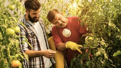 Bite poison:பூச்சி மற்றும் விஷ உயிரினங்கள் கடித்து விட்டால், விஷத்தை முறிப்பதற்கு முதலில் என்ன செய்ய வேண்டும்?