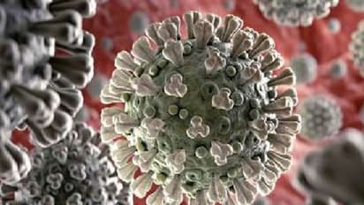 സൗദിയില് കൊവിഡ് കേസുകള് കുറയുന്നു; 171 പേര് രോഗ മുക്തരായി