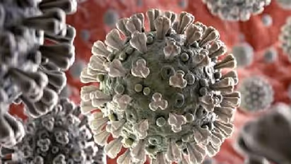 ಲಂಡನ್ನಿಂದ ಯುಪಿ ತಲುಪಿದ ಕೊರೋನಾ ಹೊಸ ತಳಿ, 2 ವರ್ಷದ ಕಂದನಿಗೆ ಸೋಂಕು!