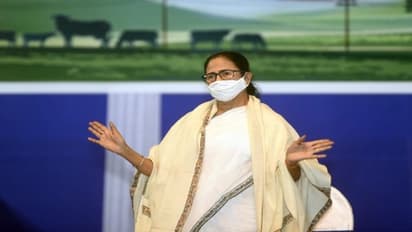 Mamata Banerjee to file her nomination from Nandigram constituency tomorrow