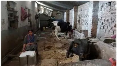 കോച്ചിം​ഗിനോ ട്യൂഷനോ പണമുണ്ടായില്ല, തളരാതെ പോരാടി, ജഡ്ജിയാവാൻ പാൽക്കാരന്റെ മകൾ!