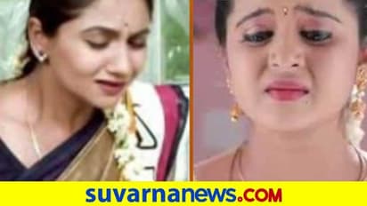 ಅಳುವುದರಲ್ಲಿ ಅಮೃತಾಳನ್ನೇ ಮೀರಿಸಿದ ಮಂಗಳ ಗೌರಿ; ಸ್ವಲ್ಪ ದಿನಗಳಲ್ಲಿ 'ಶುಕ್ರ ಗೌರಿ' ಶುರುವಾಗುತ್ತೆ?