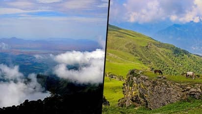 Himachal's beauty to Kodaikanal's serenity: 5 places to get healed by nature in 2021